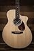 Martin SC-13E Acoustic-Electric Guitar