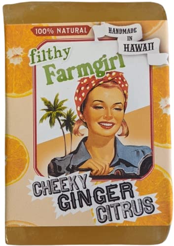 Cheeky Ginger Citrus Bar Soap Orange Grapefruit Lemon Ginger