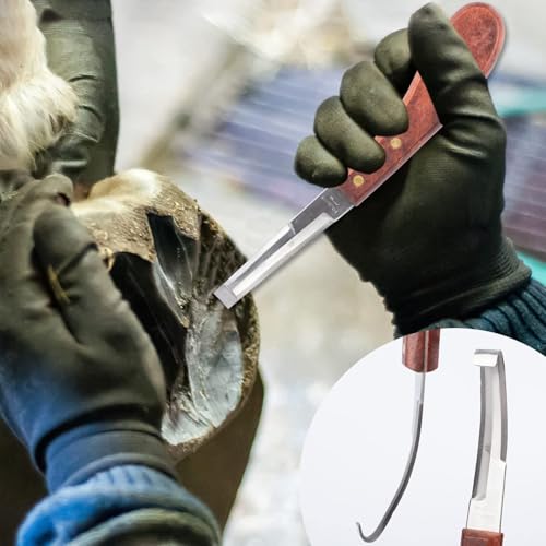 12pcs Professional Farrier Tools Farrier kit Horse shoeing Tools Farrier Supplies Farrier Tools for Horses Cattle Sheep and Donkeys - Image 6