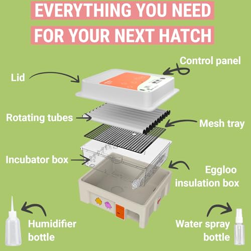 OBI-36 Egg Incubator for Hatching - 36 Eggs - Stable Temperature & Humidity Control with Eggloo Insulation, Candler - Ideal for Families and Farms - Suitable for Chicken, Duck, Quail Eggs