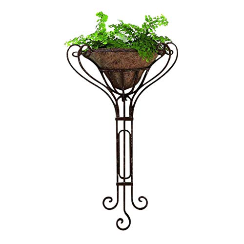 MY SWANKY HOME Tall Iron Wall Mounted Planter Outdoor Garden Scroll Metal Antique Style Open