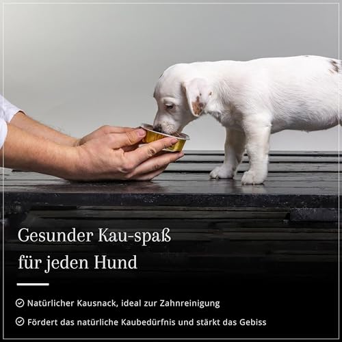 Dog Time Tiernahrung Pansen 1000g getrocknet I Gesunder Kausnack aus 100% Rind für Hunde I Hundeleckerli mit vielen wertvollen Vitaminen & ohne Zucker