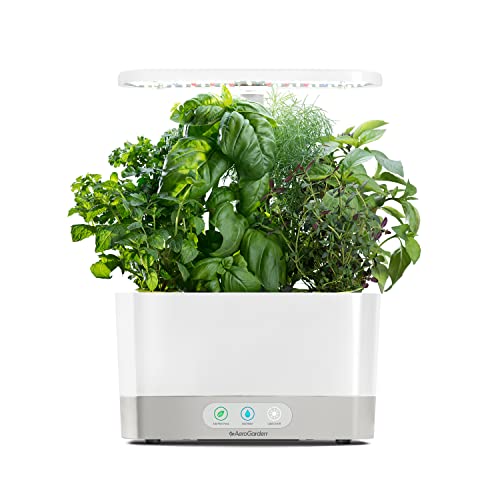 18. Indoor Herb Garden Kit