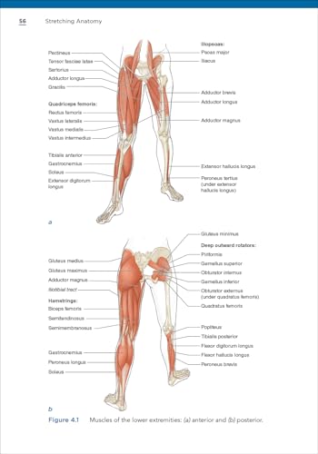 View 4