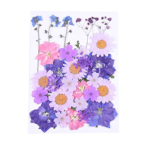 Flores secas prensadas orgánicas para decoración floral miniatura 1