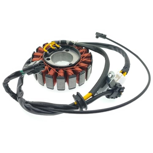 Stator et bobine d'allumage pour Kawasaki BR250 Z250SL et BX250 250SL 2014-2017