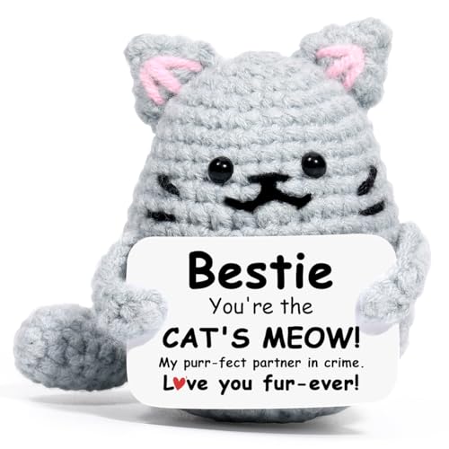 AICase Funny Cat Gifts for Best Friend Women Birthday Friendship, Ideas Long Distance Special Cool...