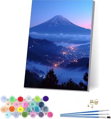 G xmR yCgoCio[ i DIY Paint by Numbers LbghG h G fW^G uVƃANG̋ l̂߂̃NGCeBuȎ z[ ItBX Mtg 30x40cm t[t 2