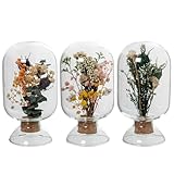 Set de 3 fanales Set de 3 fanales de Cristal con Flores Artificiales en Tonos Fuertes 8x8x16cm