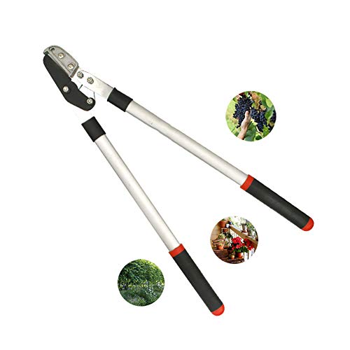 Tijeras de podar manuales de primera calidad, herramienta de corte de palos de huerta para patio de jardín, tijeras de jardín afiladas de boj de seto con hoja de acero SK-5, mango ergonómico