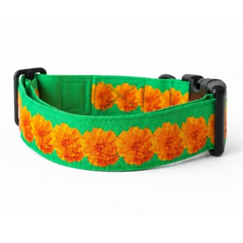 Image of Lana Paws Garland Fabric Dog Collar, Lightweight & Durable Belt for Small Dogs