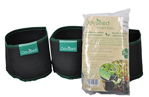 odyseed - 3X SmartPots 4L - Pots en géotextile pour cultiver à l'intérieur comme à l'extérieur