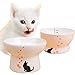KOWVOWZ Set of Japanese high Base Ceramic pet Bowl with cat Drinking Water Bowl cat Food Bowl Printed Ceramic cat Bowl (Multicolour Pattern)