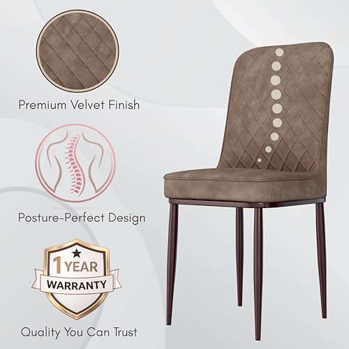 Image of Jewel Premium Velvet Dining Chair with Strong Metal Legs, Cushioned Seat, Chair for Dining, Living Room, Bedroom & Balcony (Brown)