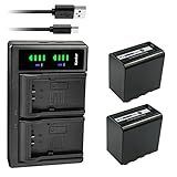 Kastar 2-Pack Battery and LTD2 USB Charger Compatible with Panasonic AG-VBR59 AG-VBR59G AG-VBR89 AG-VBR89G AG-VBR118 AG-VBR118G VW-VBD29 VW-VBD58 VW-VBD58E-K VW-VBD58PPK VW-VBD78 VW-VBD98 Battery