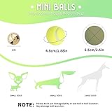 Mini Ballwurfmaschine für Hunde - 9