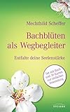  Bachblüten als Wegbegleiter-Set: Entfalte deine Seelenstärke. Buch mit 39 Karten