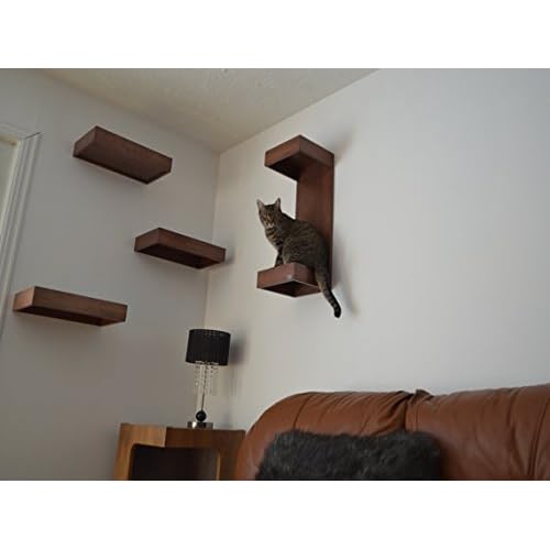 Cat Furniture Wall Shelves Wood With Cushions Set Of 4 Amazon