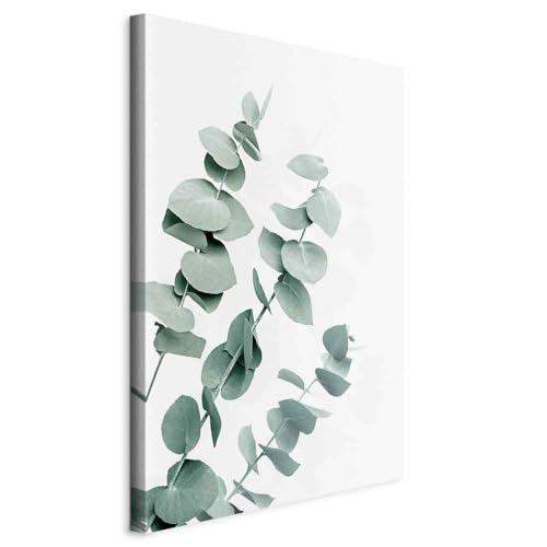 murando - Wandbilder Eukalyptus 40x60 cm Vlies Leinwandbild 1 tlg Kunstdruck modern Wandbilder XXL Wanddekoration Design Wandbild Blätter Natur Pflanze Ast weiß grün Abstrakt murando - Wandbilder Eukalyptus 40x60 cm Vlies Leinwandbild 1 tlg Kunstdruck modern Wandbilder XXL Wanddekoration Design Wandbild Blätter Natur Pflanze Ast weiß grün Abstrakt