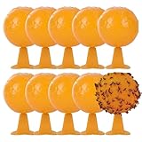 Fliegenfalle Ball 10 Stück 3, 27 Zoll Fliegenfänger wasserdichte sonnenbeständige Fliegenfalle mit Selbstklebendem Lockstoff für den Obstgarten-Gartenmarkt