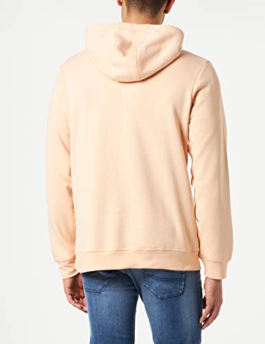 Sweat à capuche Teddy Smith homme Siclass blanc