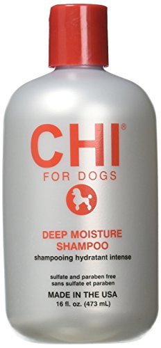Top 5 Best Smelling Dog Shampoo Professional Groomer Recommendations Barkforce