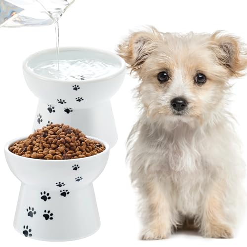 Teenyyou 2 Pack Elevated Dog Bowls Cute Ceramic Raised Dog Bowl Nonslip Elevated Water Bowl for Dogs, Dishwasher and Microwave Safe