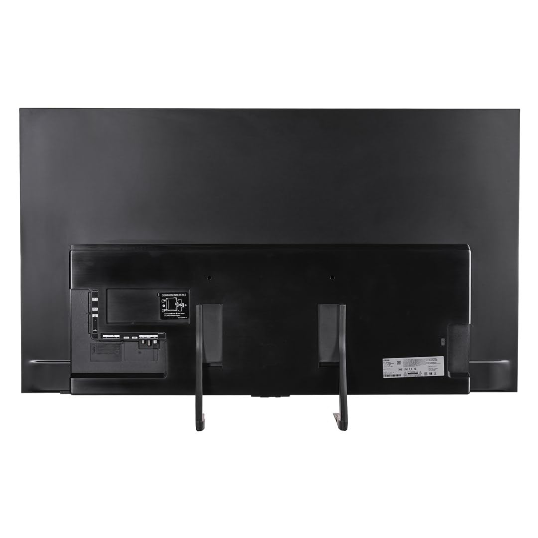 Samsung TV (QE48S90FAEXXH)