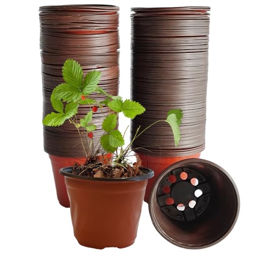 Armo 100 Pack Plastic Plant Pots 10CM Seed Seedling Flower Vegetable Herbs Growing Greenhouse Plant Pot