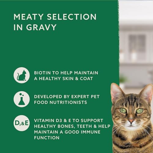 by Amazon Katzenfutter, nass, für ausgewachsene Katzen, Fleischauswahl in Sauce, 4.8kg (48 Packungen mit 100g)