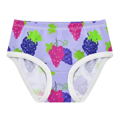 Grape Clusters Purple Blue Toddler Underwear Floral 2t Cotton Little Girl Panties Personalized Undies Kids Briefs