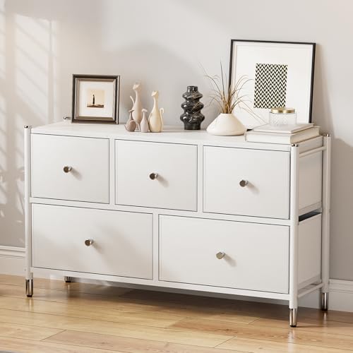 IKIFLY チェストタンス 収納 ローチェスト軽量 テレビ台 おもちゃ箱 布製 ワイドチェスト 引き出し 衣装棚 簡単組立 衣類収納 キッズ ベイビー用ワイドチェスト 一人暮らし リビング 寝室収納2段5杯 【幅100×奥行30×高さ58cm】 (白色)