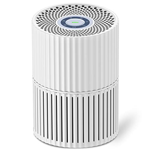 Amazon Best Sellers Best Home Air Purifiers