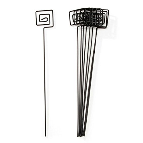 Darice 10 Circle Card Holder Picks in BLACK Square 8