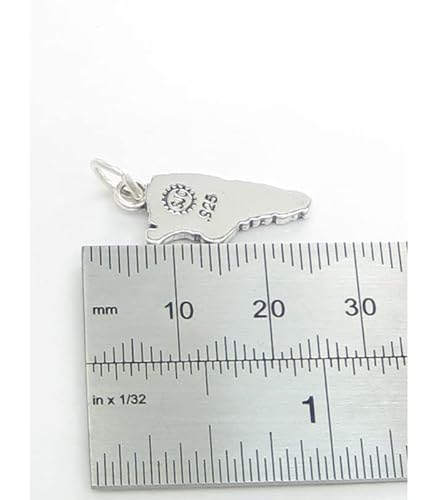 Ciondolo in argento sterling mappa dell'Argentina