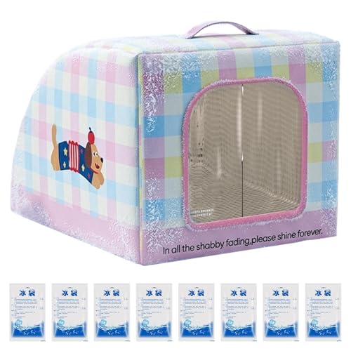 Maison chat rafraîchissante et coussin isolé pour animaux errants d'extérieur