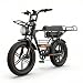 windseeker 48V 27Ah Electric Cargo Bike for Adults 2500W Peak