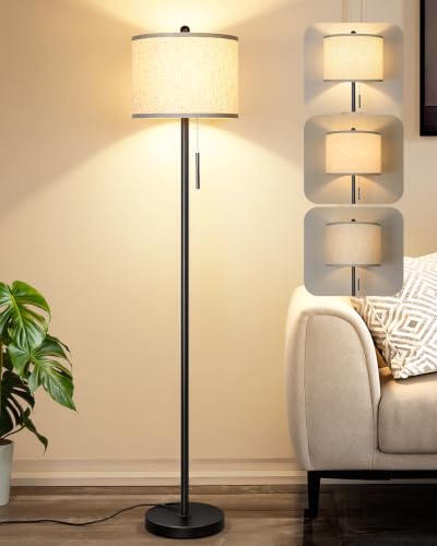Qingmiao 63" Black Floor Lamp for Living Room, Pull Chain, 3 Way Bulb
