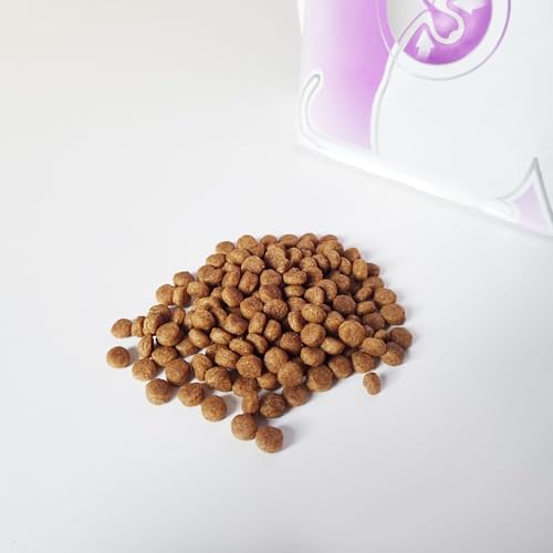 41g6sMSfmPL