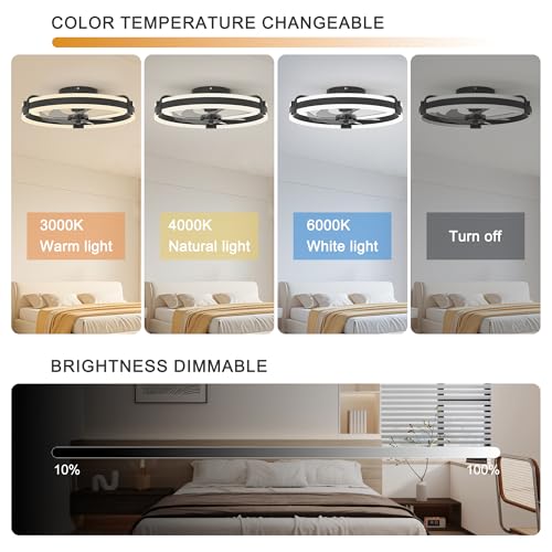 Image of Garwarm 20 inch Ceiling Fans with Lights and Remote, Low Profile Black Fan