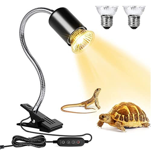 Radiant Guide Top 10 Heat Light for Bearded Dragon with a Complete