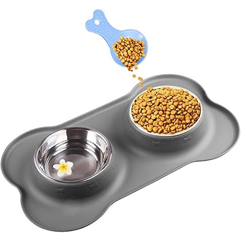 Double Stainless Steel Dog Bowls with Tray Cover