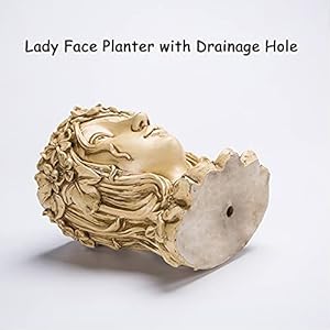 Goddess Face Planters Pots Head Flower Pot, Succulent Pot Cute Resin Planter with Drainage Hole for Indoor Outdoor Plants (A-Maple) Goddess Face Planters Pots Head Flower Pot Succulent Pot Cute Resin Planter with Drainage Hole for Indoor Outdoor Plants A Maple