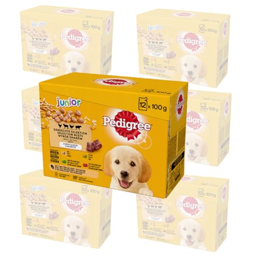 PEDIGREE DOGCARE - Bolsa húmeda (Mixta) Chunks in Jelly Junior 100 G Multipack Standard 84 x 100 g