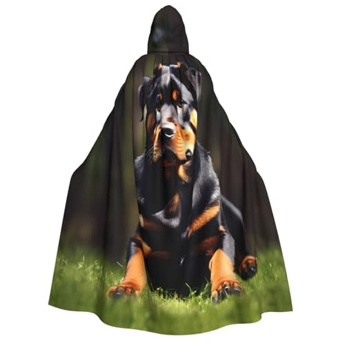 Cape de Rottweiler pour Halloween le costume idéal des soirées costumées