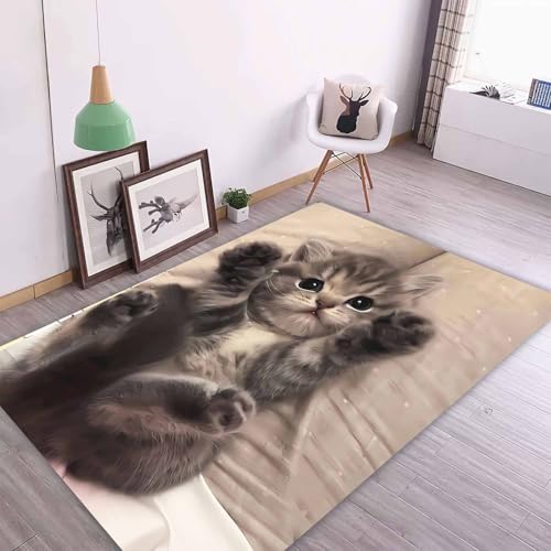 Tapis poils courts chat lavable et robuste pour salon
