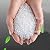 Artificial Thatch Tile, Simulation Thatch Plastic Thatch Anti-Rot Flame Retardant Gazebo Decoration Fake Thatch, 5 Colors (Color : B-6pcs, Size : 50x50cm)