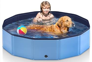 AMAZON - 63″ Foldable Dog Pool for Large Dogs, Portable Hard Plastic PVC Pet Bathing Tub, Outdoor Collapsible Swimming Pool for Pets Dogs and Cats, 63 x 12 Inches