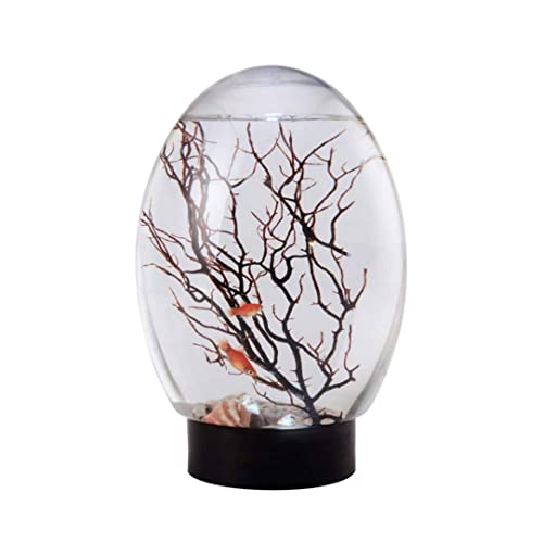 Ckuakiwu Mini Aquarium Ecosphere Closed Aquatic Ecosystem Desktop Aquarium with LED Light & Revolving Base No Need to Feed & Change Water Fish Tank Decor for Home Office (Black)