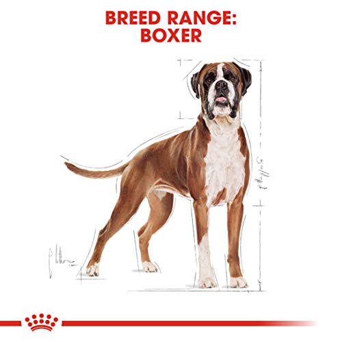 Royal Canin 35141 Breed Boxer 12 kg - Hundefutter